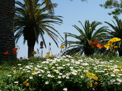 8923B8D2-4E87-407C-A3C8-17819EFFF286