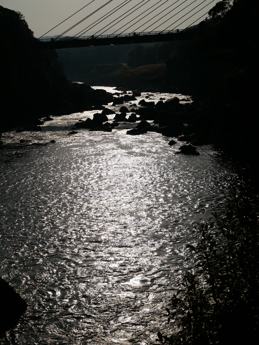 8CFCB202-E895-40A7-8D6D-763F889422EF