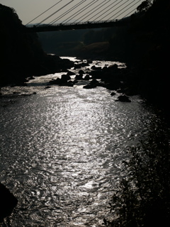 8CFCB202-E895-40A7-8D6D-763F889422EF