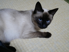 E1A358AD-225C-4E6D-94FC-9173B7ADC04A