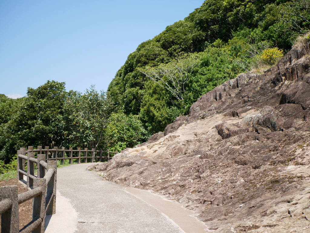 335CC9F1-AFB6-46EE-AF8C-5B12D0DB3849