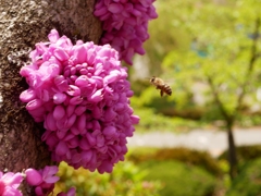 DDD9C203-246B-41EF-A8E8-03A1A45F8BDB
