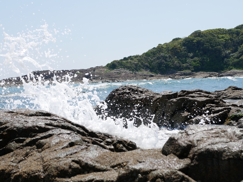 C53057FB-3658-4E88-9945-7B008144F014