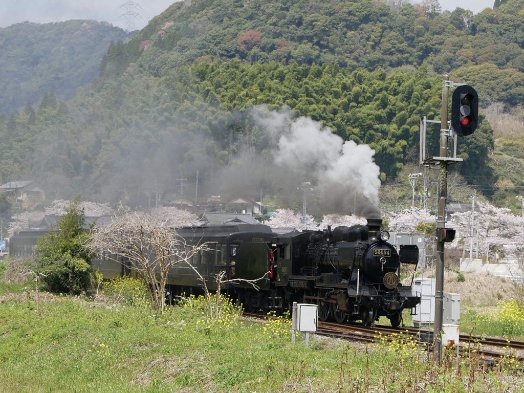 788CAB13-9D61-49FC-9090-B7175A437C8F