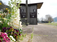 4B3F06C3-50C4-4E05-89D6-28AEDDA28081