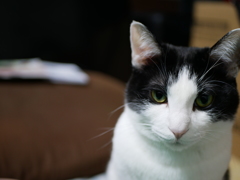 A68ED41C-C90D-4BFF-837F-17482AC50BDD