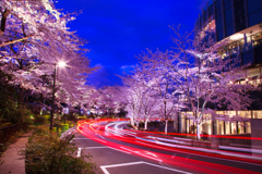 ミッドタウン光跡