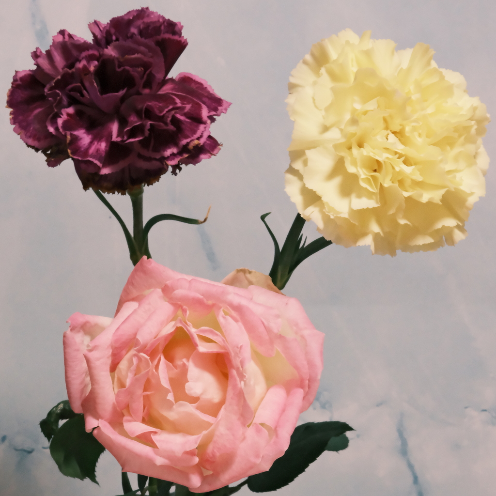 どアップテスト中