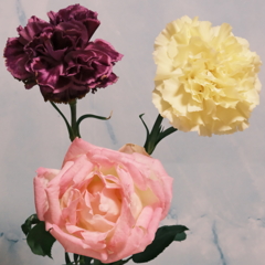 どアップテスト中