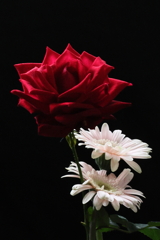 日常の朝の風景