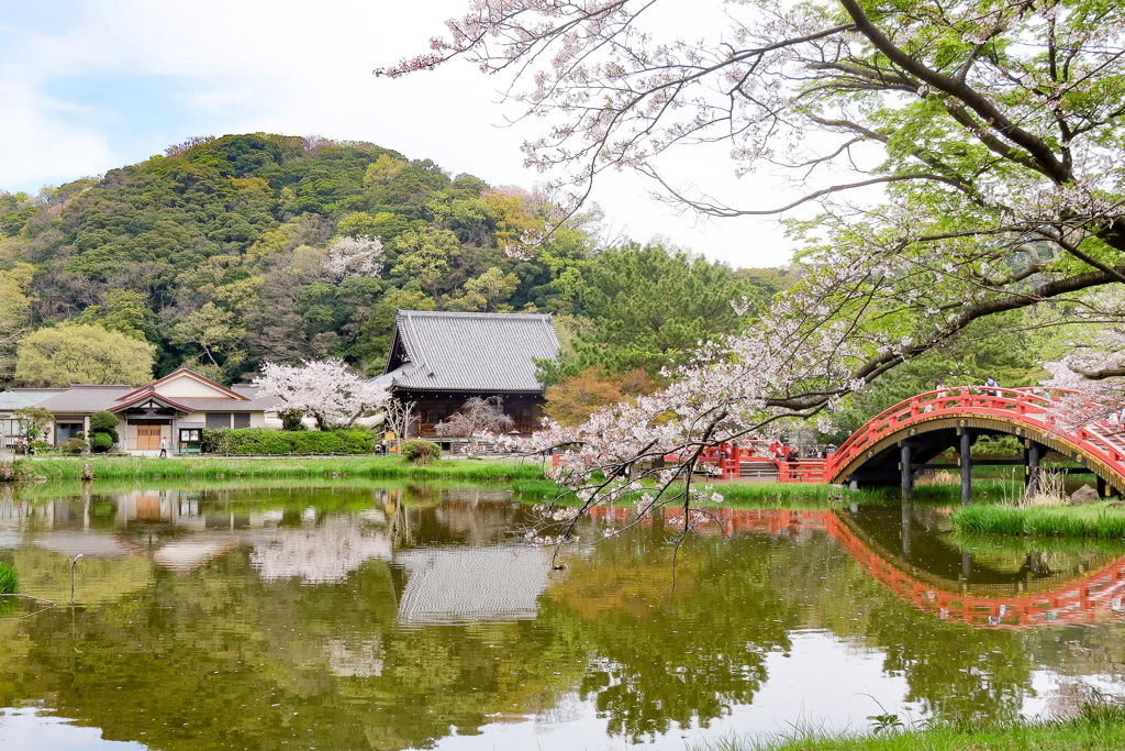 称名寺も、今日明日が写し時。