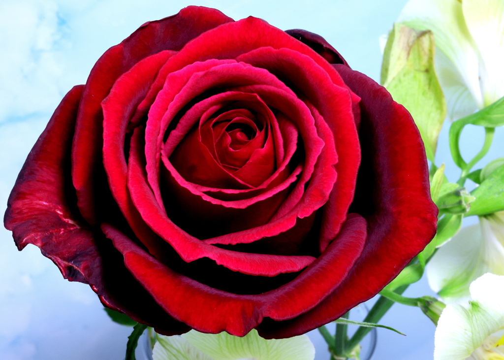 ちょっと・・・