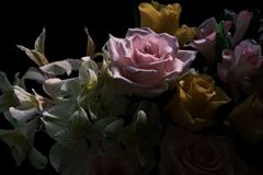 早朝のまどろみ