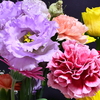 花香る