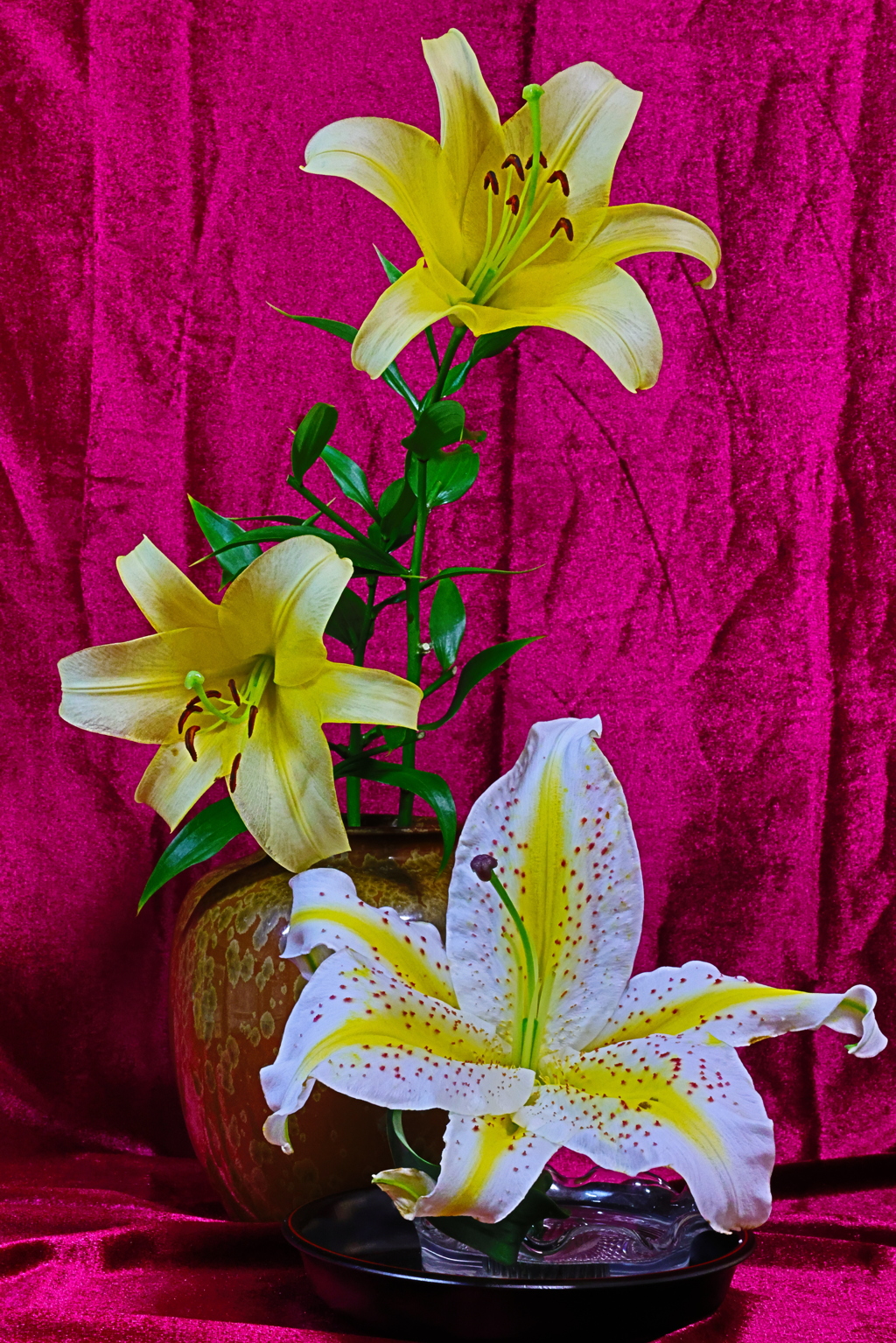 ユリももう終わりかな・・・