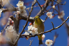 金沢自然公園