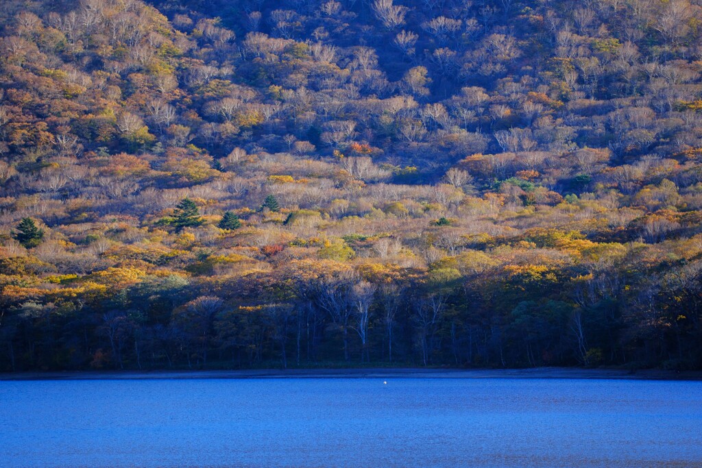 赤城山～紅葉 大沼
