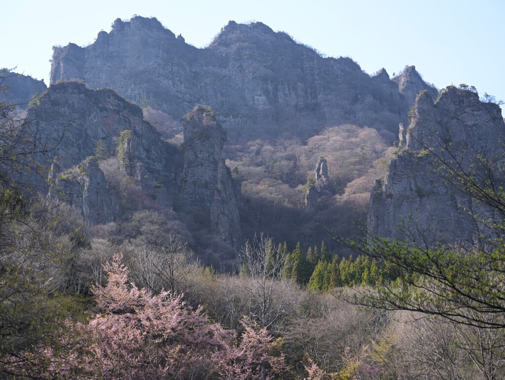 妙義山の春