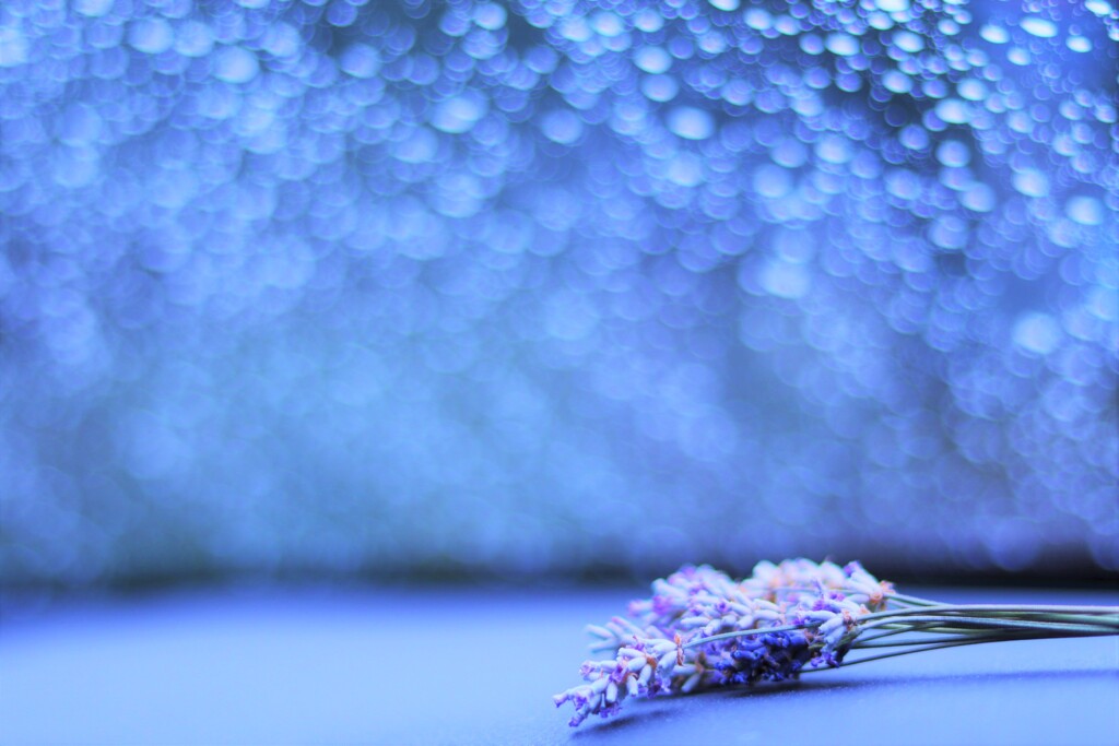 rain lavender