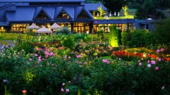 Moonlight Rose Garden～茨木フラワーパーク1