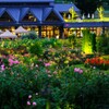 Moonlight Rose Garden～茨木フラワーパーク1