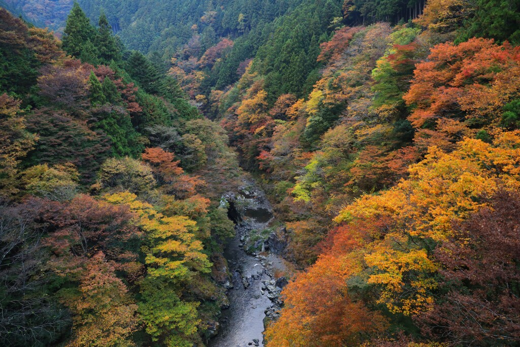 奥多摩紅葉渓谷