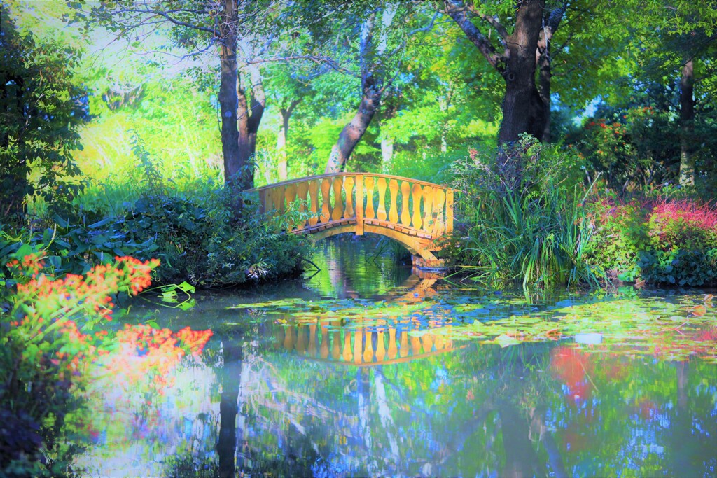 garden pond