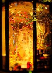 花屋～丸の内イルミネーション