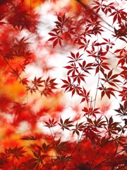 神代植物公園～紅葉２