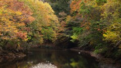 妙義の秋 妙義の秋