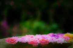 colors