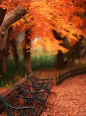 momiji bench～神代植物公園