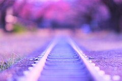 rail