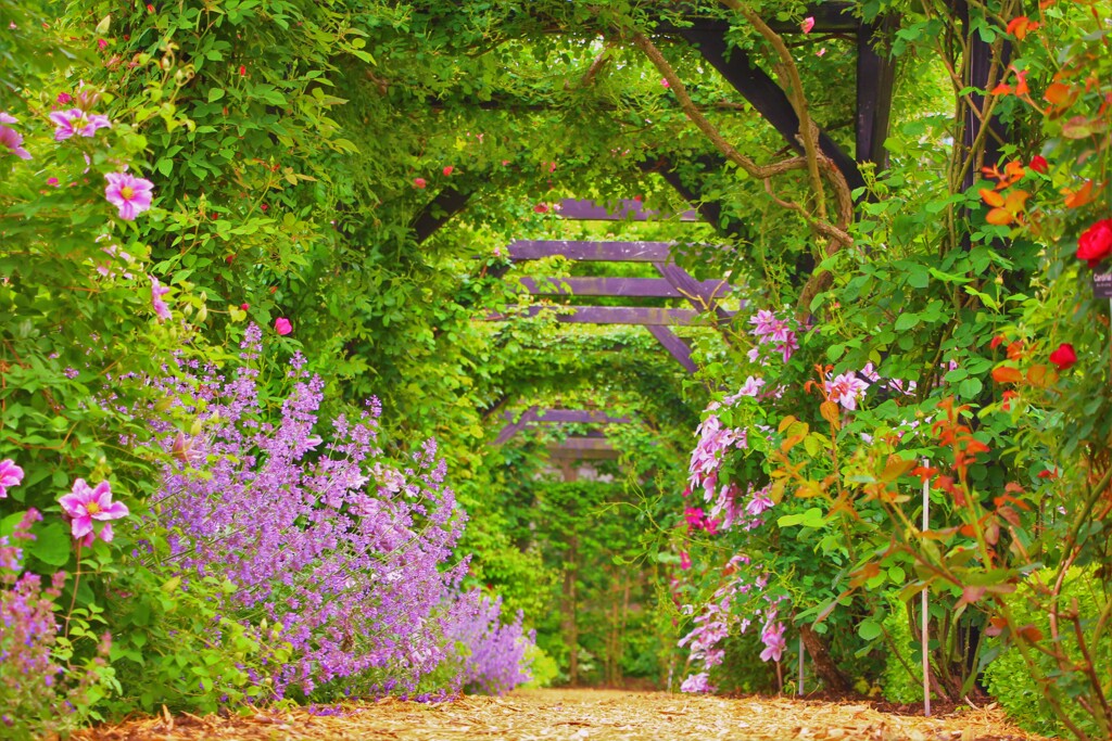 Flower path