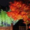 night JP garden～昭和記念公園日本庭園