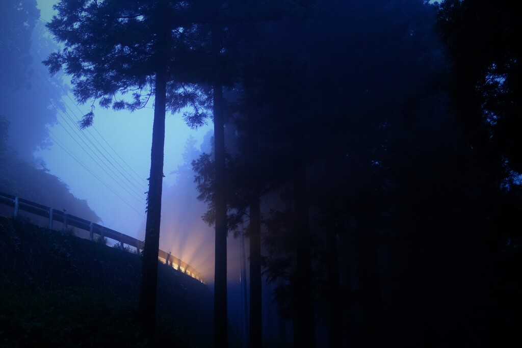 hikari