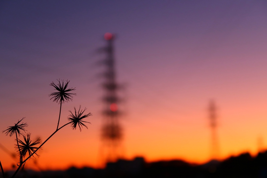 The last day of November