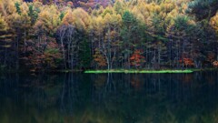 御射鹿池～紅葉