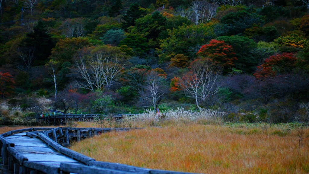 赤城山紅葉覚満淵4