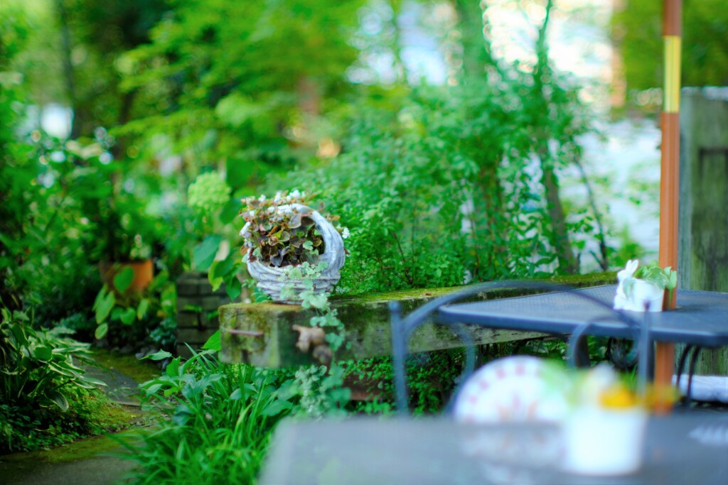 テラスへ～TeaRoom