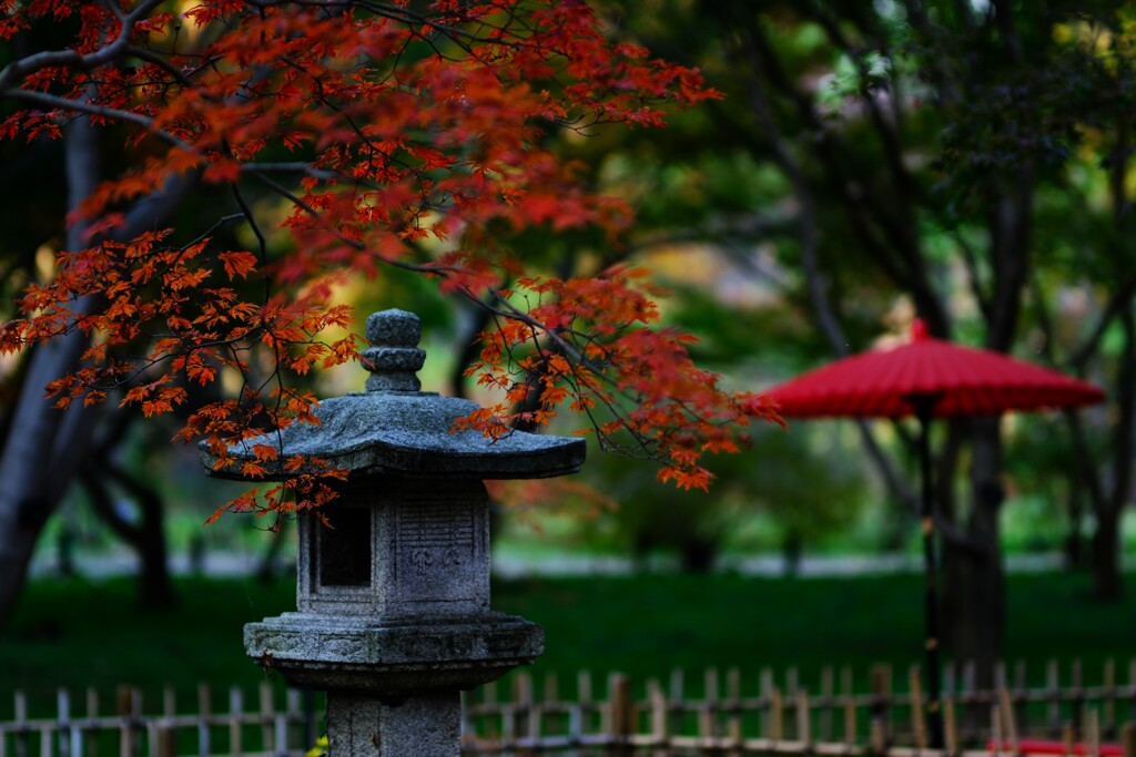 神代植物公園の秋4～紅葉はじまり
