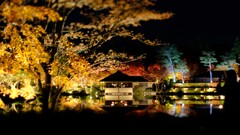 昭和記念公園～秋の夜散歩