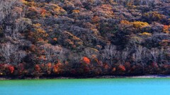 赤城山～紅葉 小沼