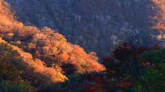 赤城山～紅葉　帰り道