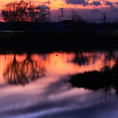 寝床探し～柴山沼の夕焼け2