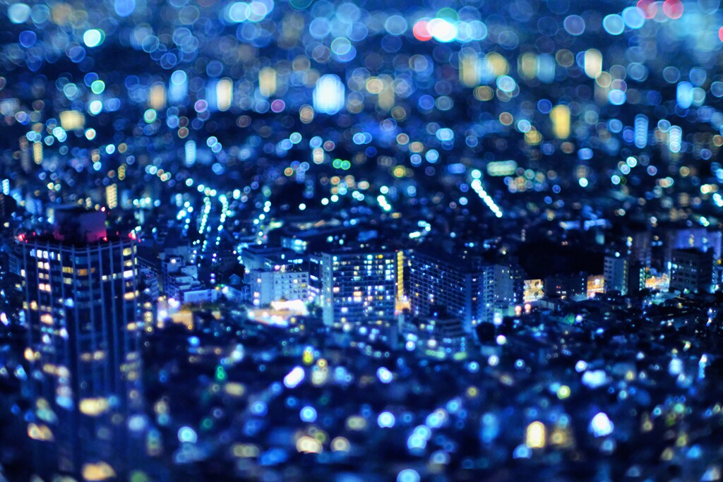 七夕都市～都庁展望台