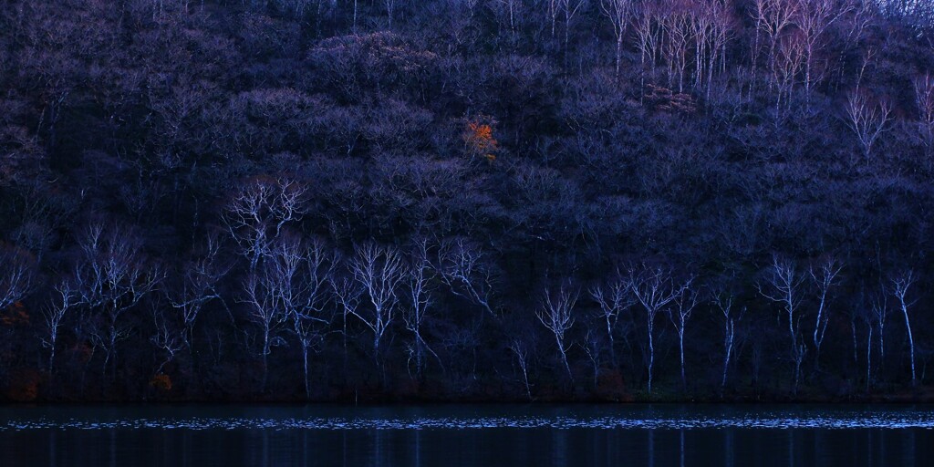 小沼の秋～赤城山3