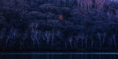 小沼の秋～赤城山3