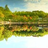 upside down
