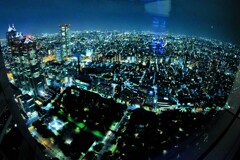 七夕都市~都庁展望台 七夕都市~都庁展望台